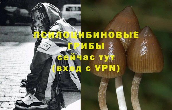 прущие крисы Шали
