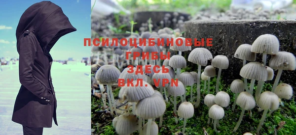 прущие крисы Шали