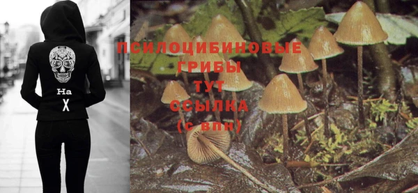 шишки Шарыпово
