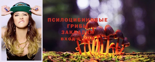 дмт Белоозёрский