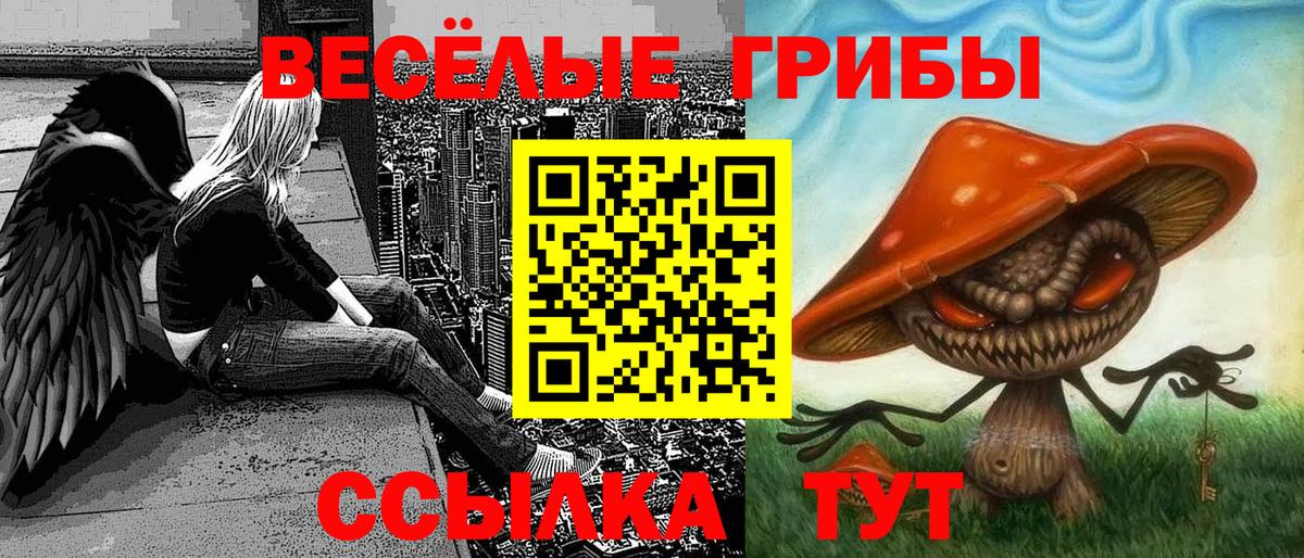 Псилоцибиновые грибы GOLDEN TEACHER Аргун