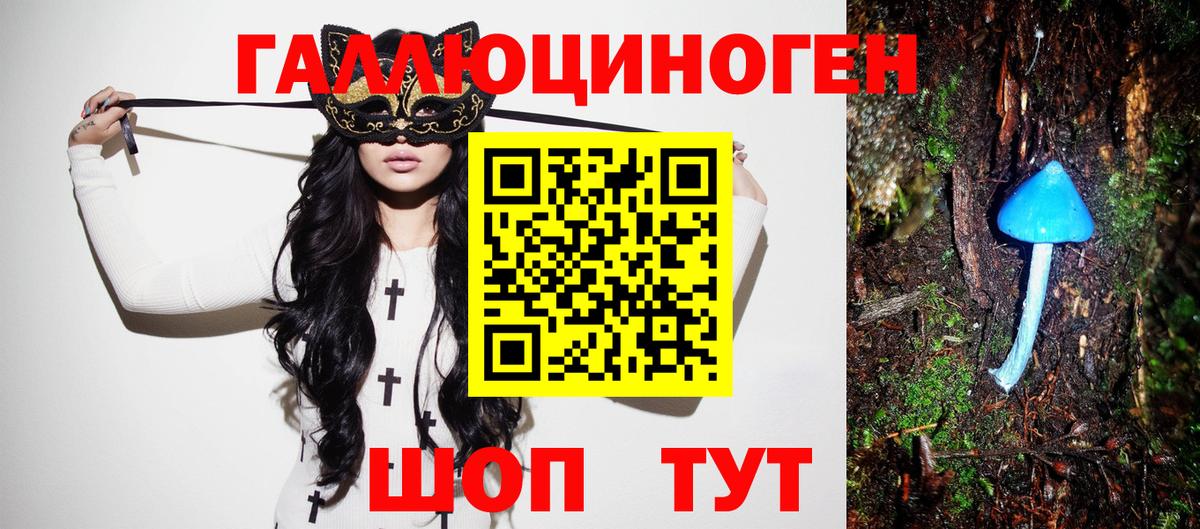 Аргун  Псилоцибиновые грибы Cubensis  Вход с VPN  Галлюциногенные грибы прущие грибы 