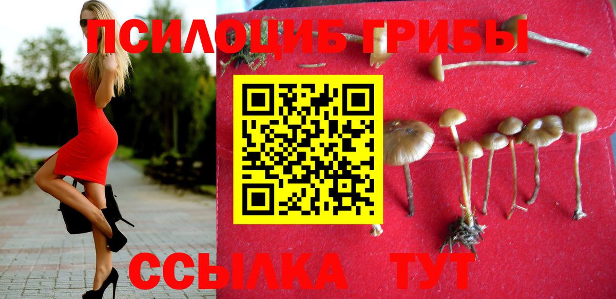 Псилоцибиновые грибы ЛСД  купить  сайты  Аргун 