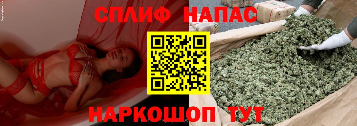 Конопля сатива  Вход с VPN  Аргун  Бошки Шишки сатива 